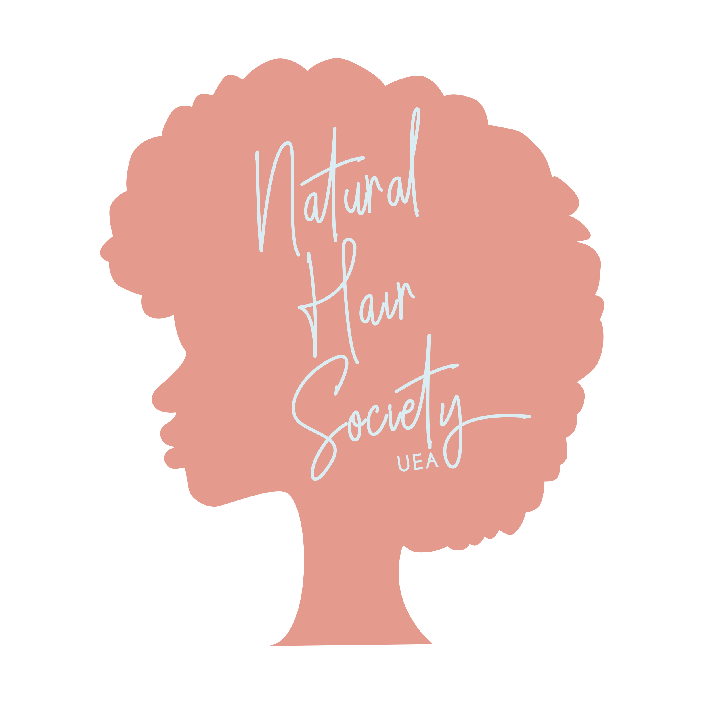 UEA Natural Hair Society